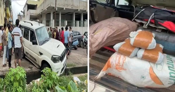 नाली में फंसी स्कॉर्पियो से 5 क्विंटल गांजा बरामद, ड्राइवर फरार